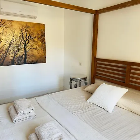 Timeless Comfort San Blas *