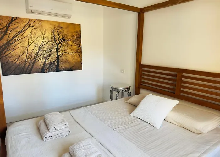 Timeless Comfort San Blas *