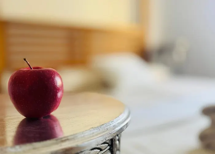 Timeless Comfort San Blas * Сан Мигель